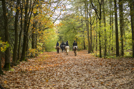 Camp with your Horse