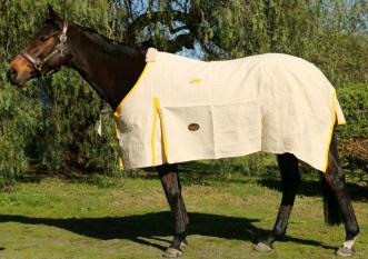 Showcraft Gold Canvas Rug