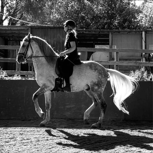 Rylana Stauffer Quintessential Dressage Functional Training