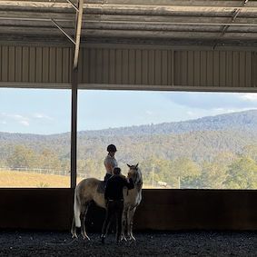 Kings Park Equestrian Club: I've signed up - now what?