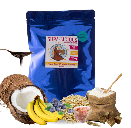 Horse Treats - Blueberry and Banana